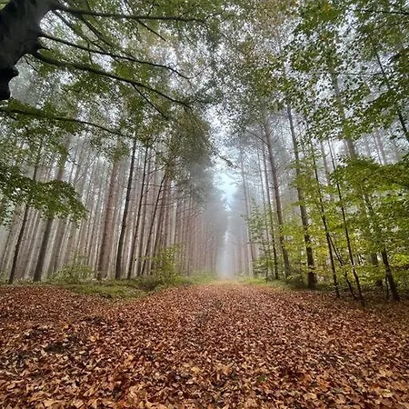 아파트 Fuenf Hof Himmelgruen