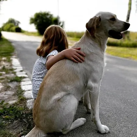 Fuenf Hof Himmelgruen شقة Saal