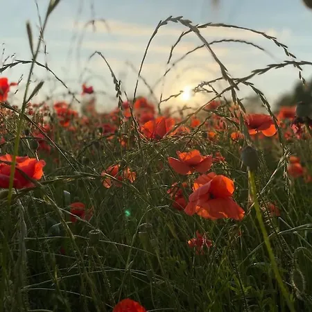Fuenf Hof Himmelgruen شقة