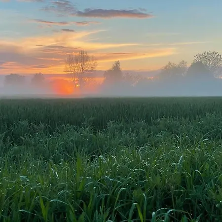 Fuenf Hof Himmelgruen Saal