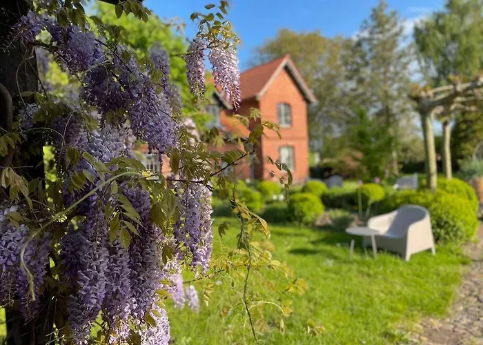 Fuenf Hof Himmelgruen * Saal